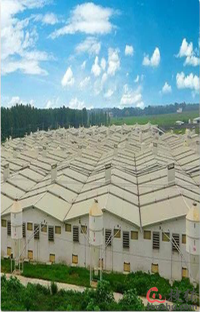 牧原股份(乙方拟在正阳县投资5亿元,建设2000万头生猪屠宰及食品加工