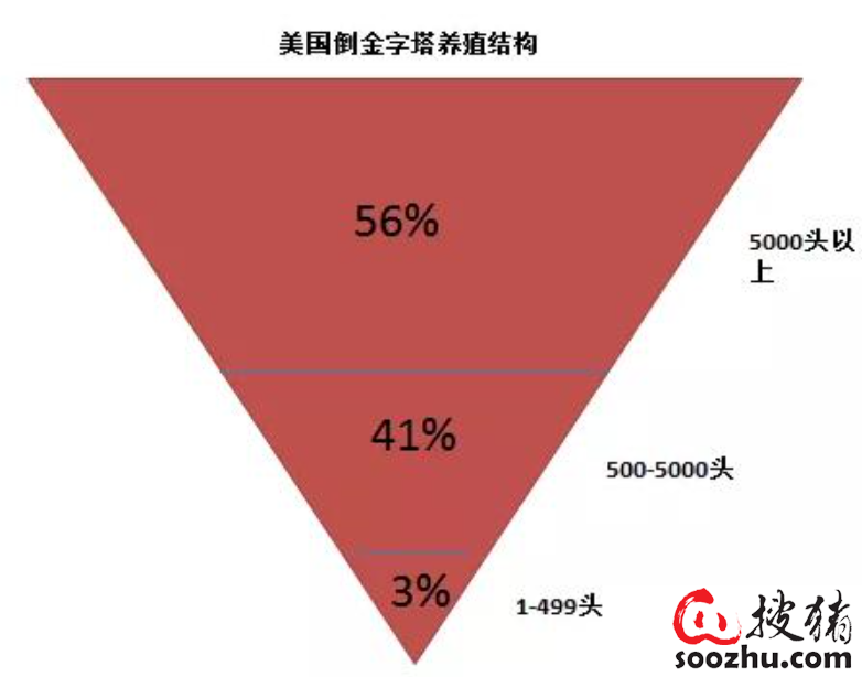 美国倒金字塔养殖结构