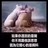 我是一蜘蛛