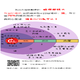 豬太肥542768