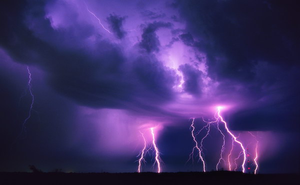 屠宰加工-生猪屠宰加工|食品加工|搜猪网_中国生猪预警网