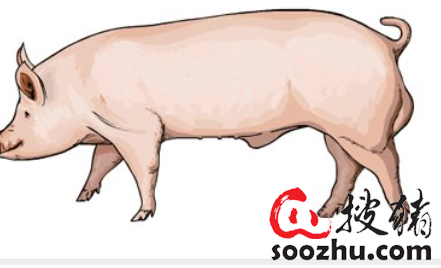 s2g4q4d4o8.png