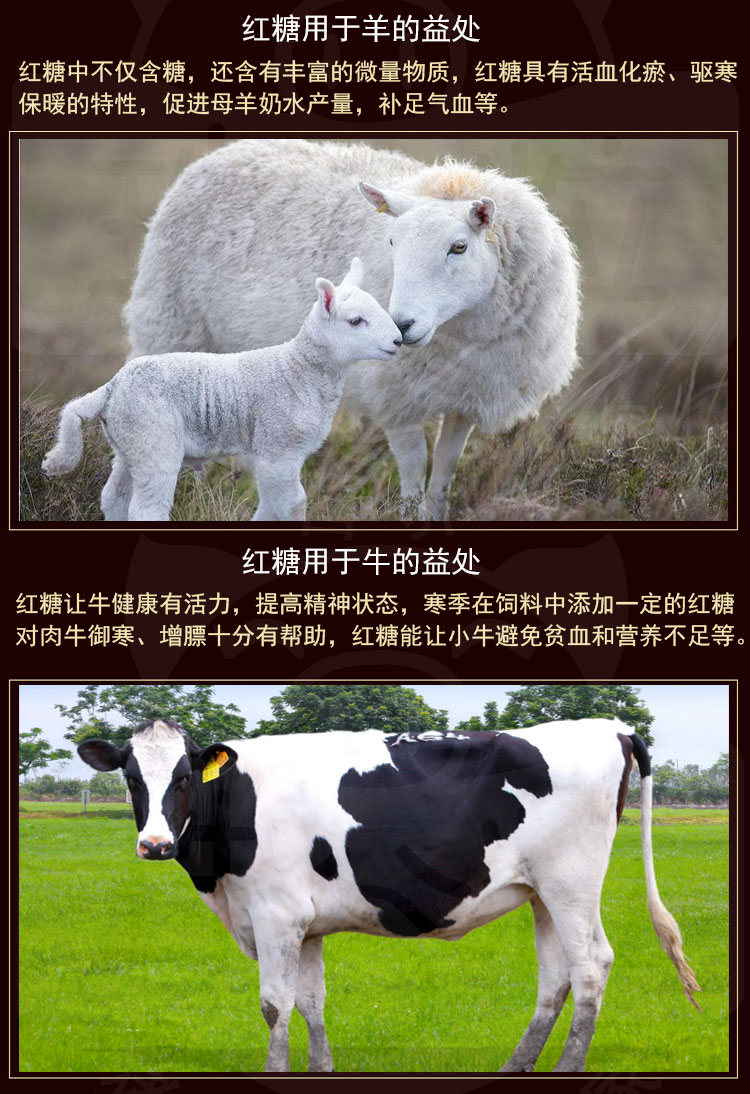 未标题-2_09.jpg