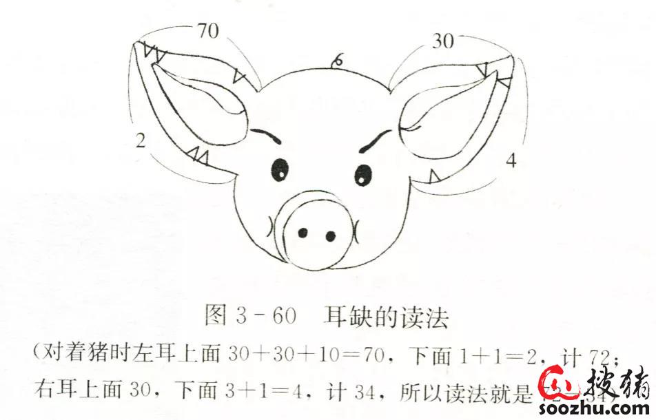 剪耳法是在耳朵上做标记