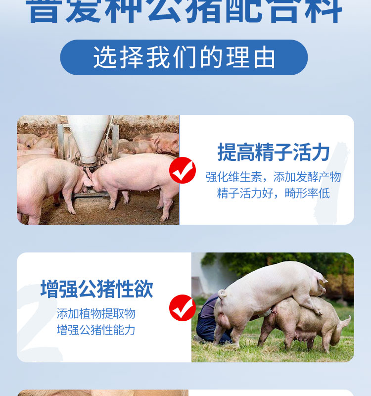 【普吉公猪王】普爱种公猪饲料全价料采精种猪用促生长 40斤/袋 公猪料全价料猪饲料 普爱旗舰店 金猪商城