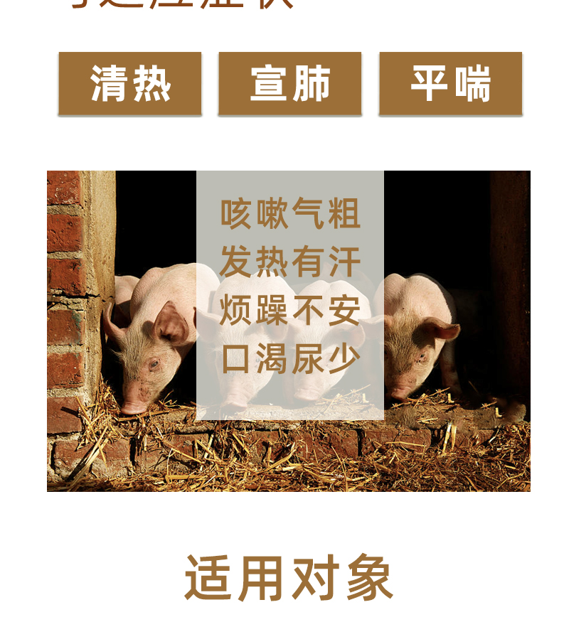 麻杏石甘散-详情图_04.jpg