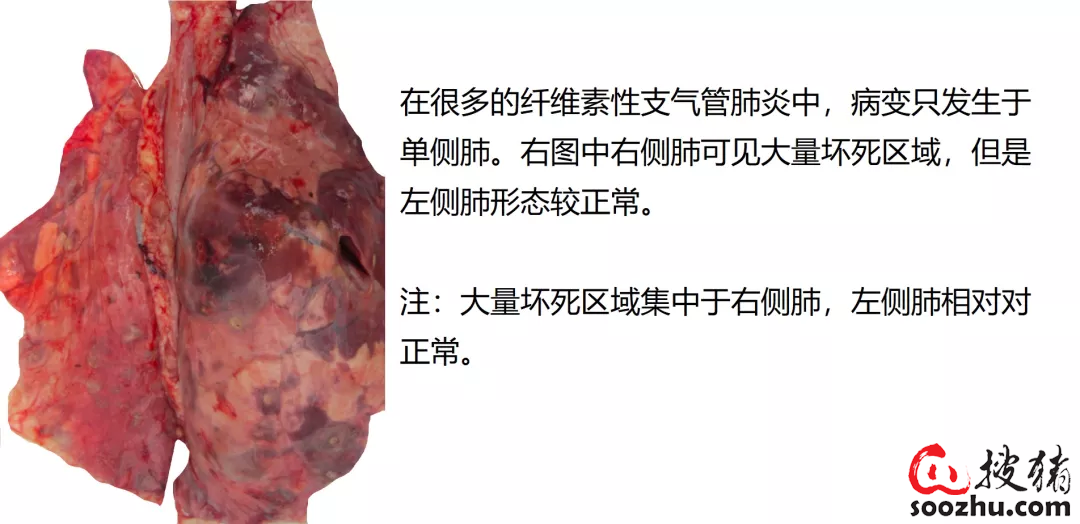 52fade0670177412a432c8b43a39f06dac6cba0d.png
