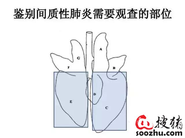 201909221100205299.jpg