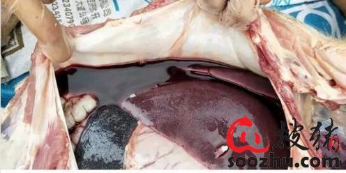 20230307112103741 (2).jpg