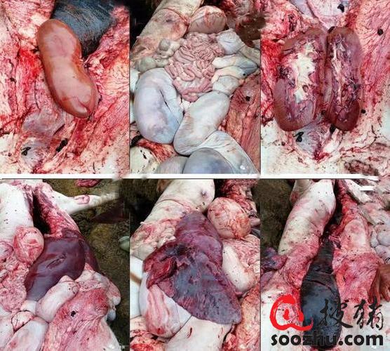 20230307112103741 (2).jpg