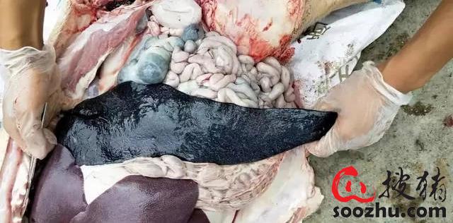 20230307112103741 (2).jpg