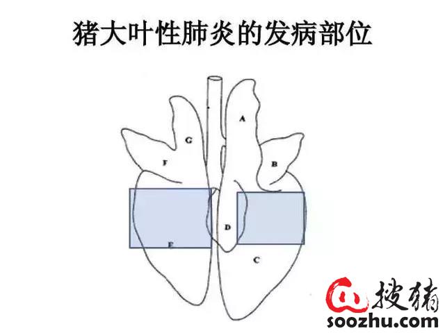 201909221100205299.jpg