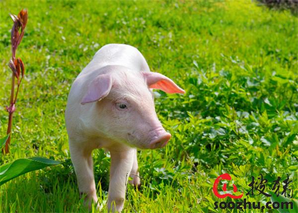 20230307112103741 (2).jpg