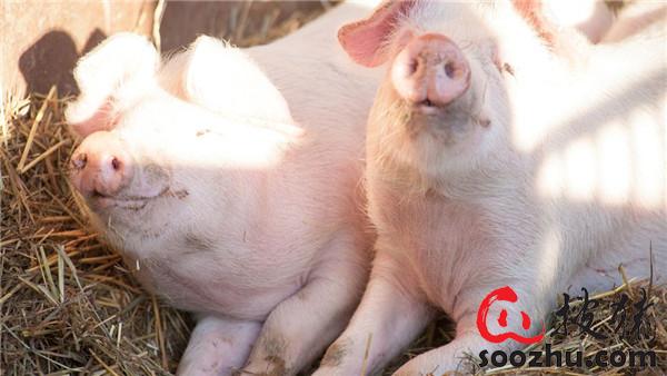 20230307112103741 (2).jpg