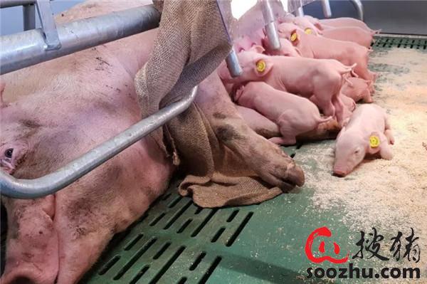 20230307112103741 (2).jpg