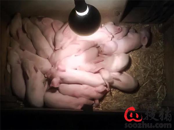 20230307112103741 (2).jpg