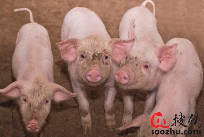 20230307112103741 (2).jpg