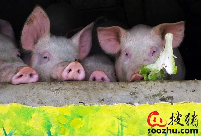 20230307112103741 (2).jpg