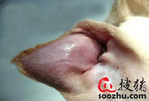 20230307112103741 (2).jpg