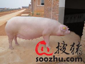 20230307112103741 (2).jpg