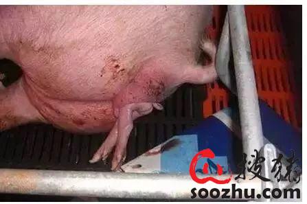 20230307112103741 (2).jpg