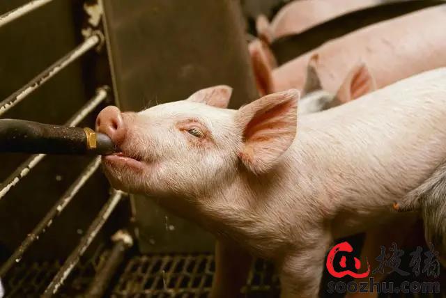 20230307112103741 (2).jpg