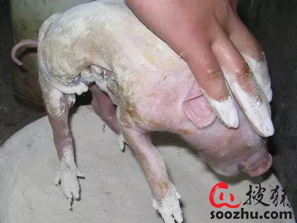 20230307112103741 (2).jpg