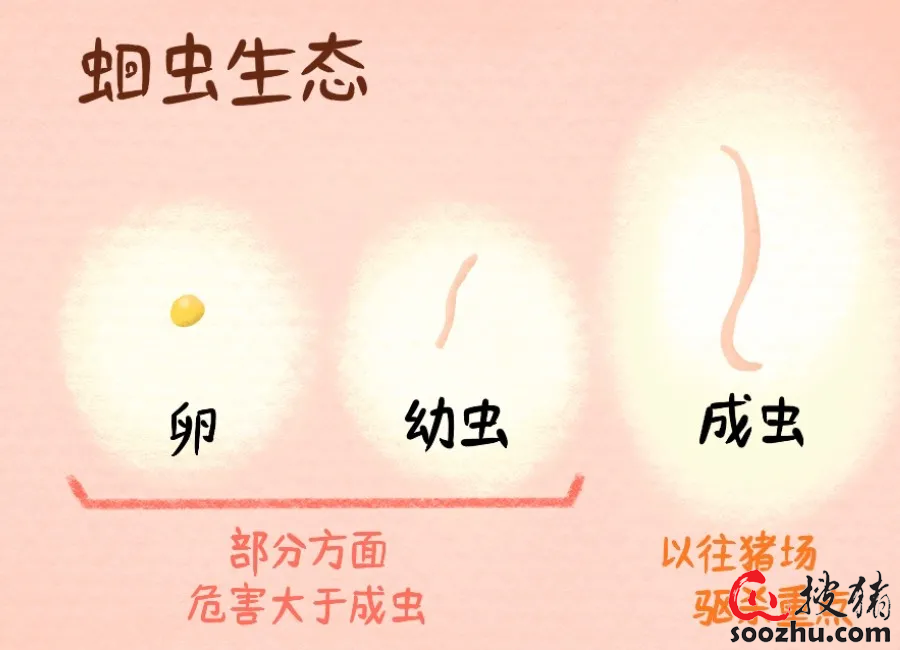 d495f2a368db63c7322ea2ddffe3b0df_08394da807d4d3b34e3201d4c94db3333bd6bf43.png