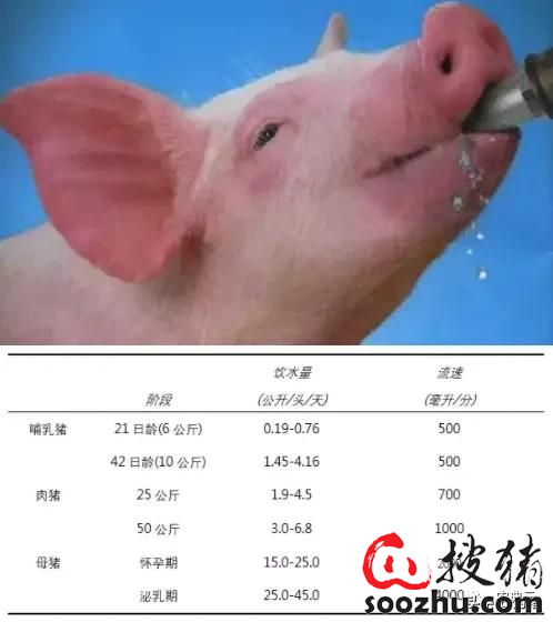 8868体育 8868体育官方入口夏日抗热的应激措施：通风、降温、降饲养密度缺一不可(图7)