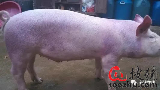 d966275bb1292c7dc4edf5e22ac18f9a_6f87baa808b3275b0b389fa2d0159816f04c53aa.png