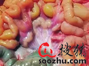 cd8fb78a86f95f1a6c8d0eea1ec17d65_4d64ca5fa9675e63f78a878851d28e2e9e9e429a.png