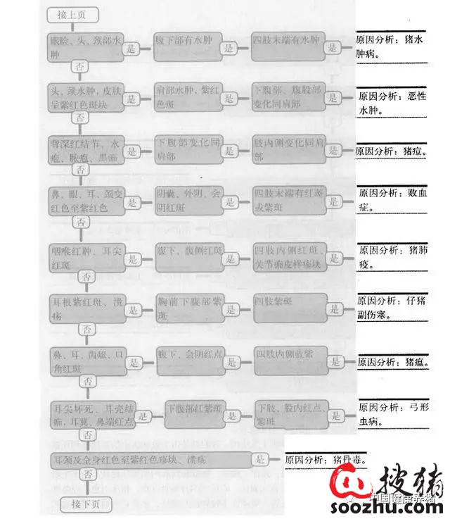 d1b8a95fbca2929e00fb8add53d8ce48_20230707033059697.jpg