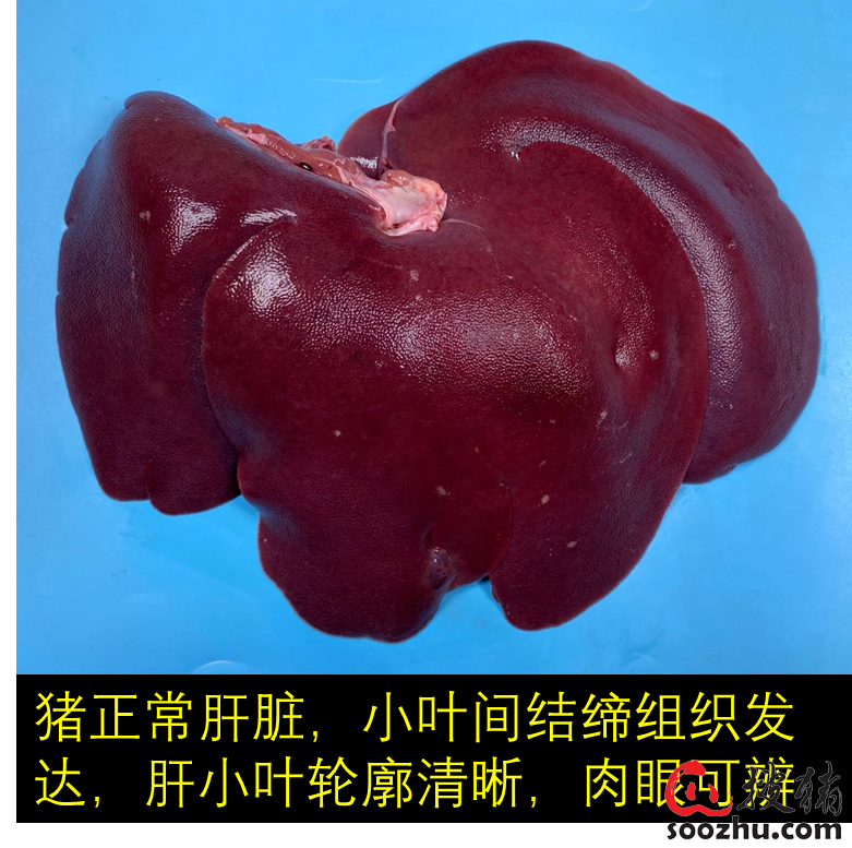 995850ba0b84dcbc5173c56052a97ad0_c5d80361acbc6ed738746f0cce1f1a4b74ecc55d.png
