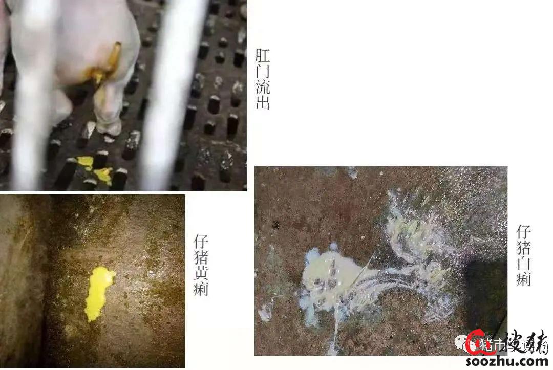 89f32080771b6b02fb9f596ca6cd8d87_3cc5d615a2edc0574da642b80f1c4cb00bbbe044.jpg