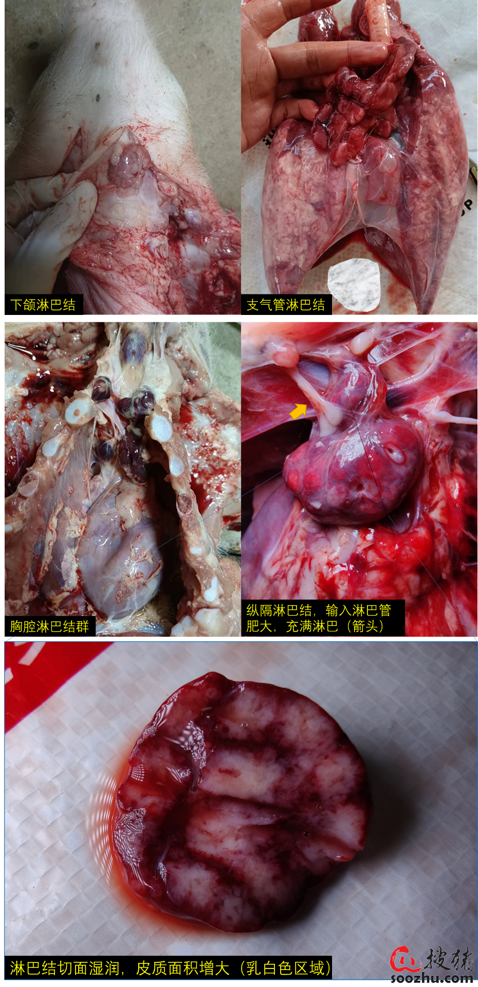 fb2e9d3b735e95043beb598c4ce9fa2f_d8bdb542305b7f427ee80a38b462327cbb8789ad.png