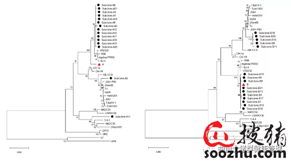 f44723bbb3a2339ae0960d2b8382e3d9_769c44a38ab635235adf6c5c94aba1fe4a20bfc9.png