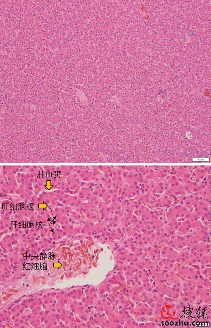 2dce663781fcaf1aa956cb3dac2c8b32_7e5d18c50a02c61220c3b01b0644c2ceff2804a2.png
