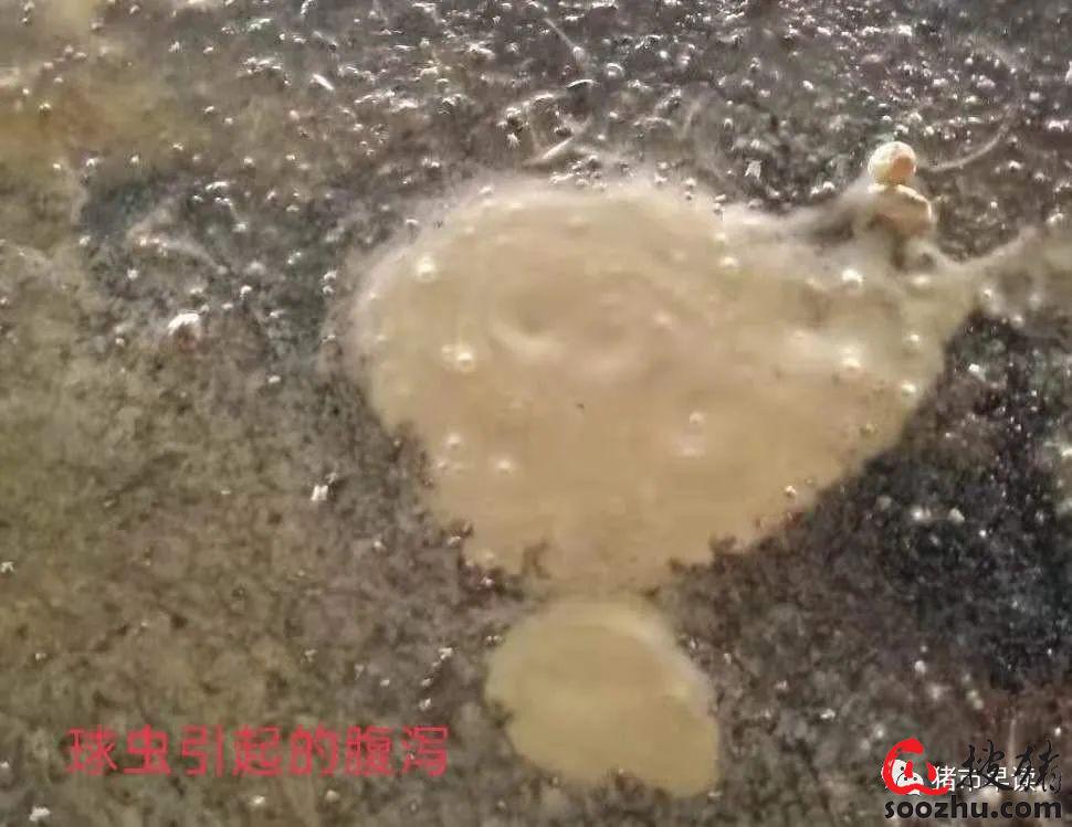 d6d12434c312245e460af7b7cf62ed64_efc7585be7000471df0bb4767d9f5ab3ed306ae6.jpg