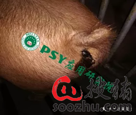 bf504220cbbe9dbf63d42ba7cdf18c5f_f10748333c3c029ee23a5f51f9169f0b361ddbdb.png