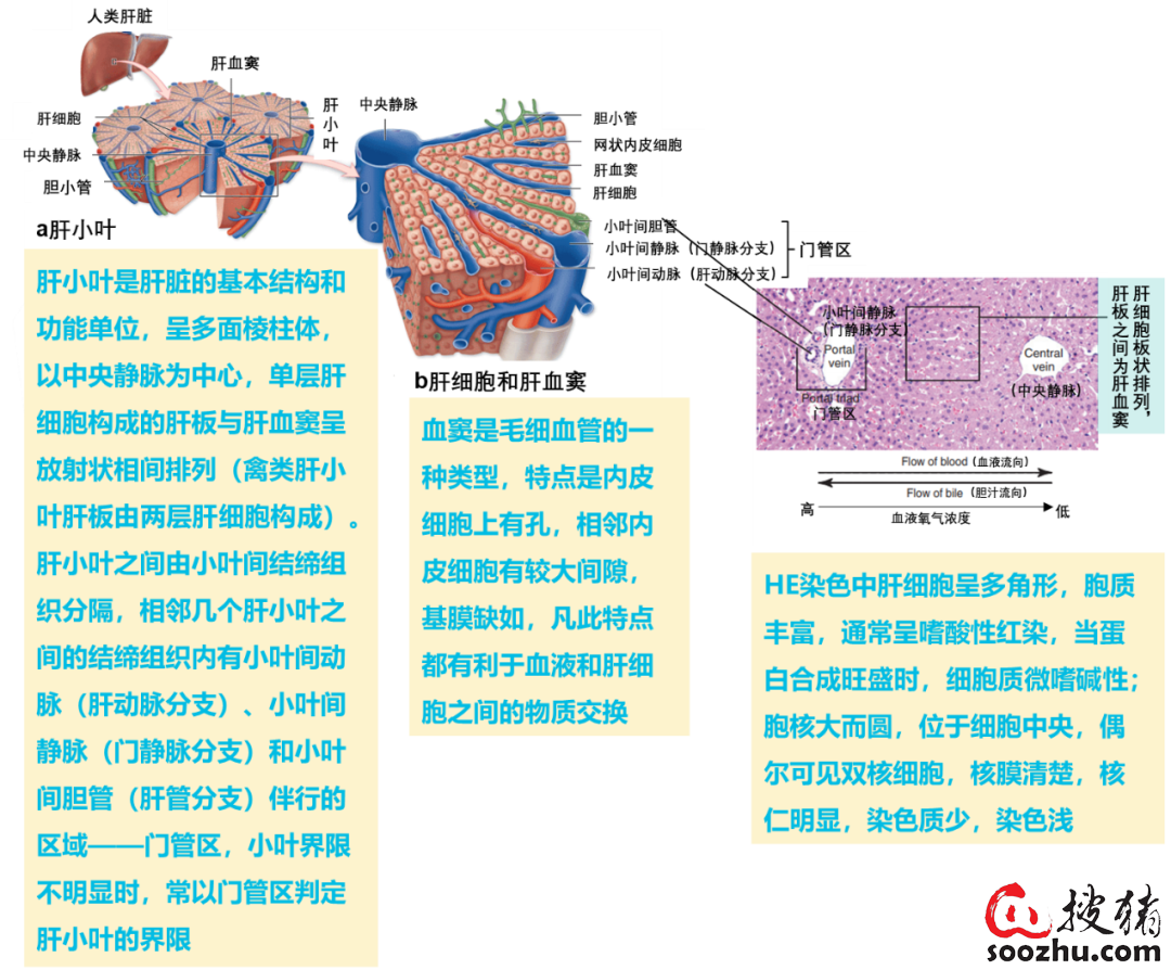 a15b65ce42cc08508bec290143c783c6_221adf2c02b3a45dc328087e5c9712be124e4bfb.png