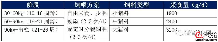 9e223cb2568bcd48037077a280a63996_c5981d9df4fff835ccc5eff0743e5434369d5dac.jpg