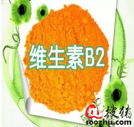 2a36cd81c20e7be619e6cd469bfc66f6_202002261125455792.jpg