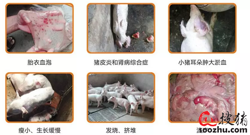 c9509802b83cade69fc8b520efd8ac67_6e1a3f7f1c3795c4ddc7f7e92dfe17ebc4154276.png