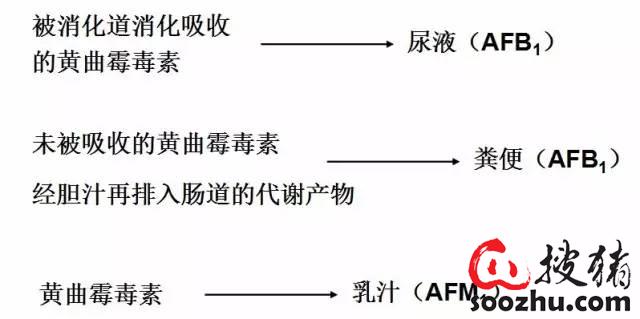 7f772ad4eeee929b99a53e8c1591fb0a_d9c81fd520e69b6552afda5ce1b9e839eeb429a4.jpg