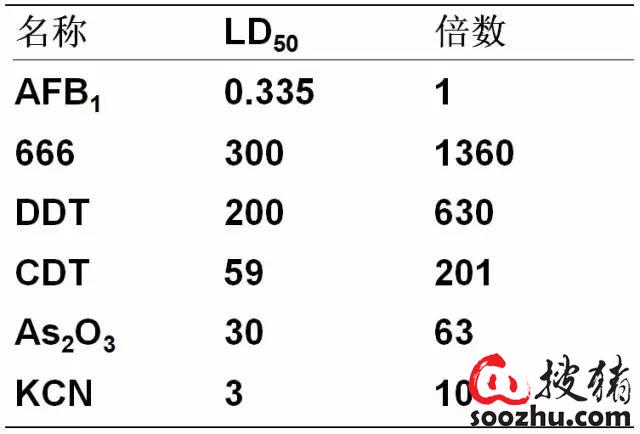 e87e8bdb1a1c18ca0dd4518c20ebc210_06ce604649366381e3c4d690ef42db294b1eda15.jpg