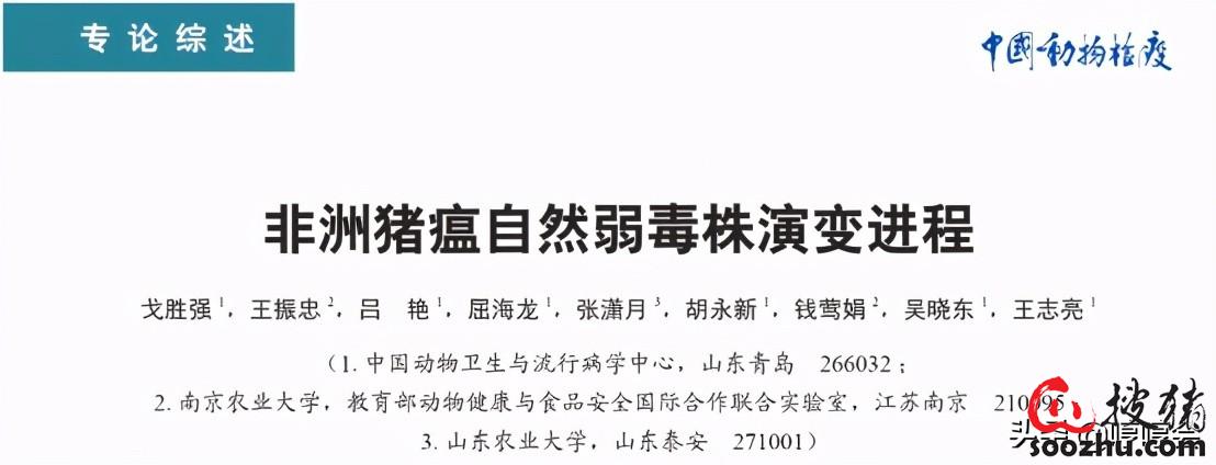 37c0eb3e7bf882b4fa7486663f8e1574_51f36e1008a39a9596fd58879c4483ea44654a12.jpg