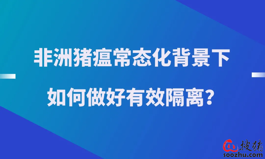 非洲猪瘟常态化背景下如何做好有效隔离？这8个方面不可忽视(图1)