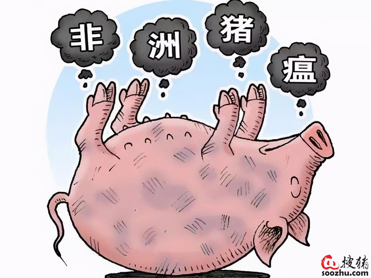 Dry goods, worth seeing!Researcher Qiu Huogi's seven views on the current African swine fever epidemic situation