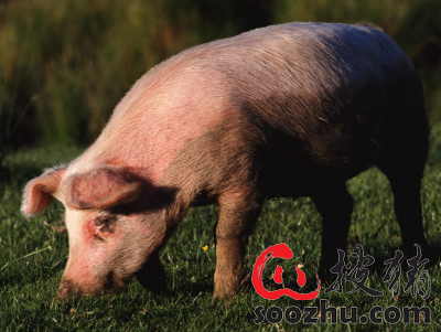 cf00c29d7cbdb80c775a8953fd9372d8_9b007779527f7f6cf5a200a03e6c857f9b9d8591.png