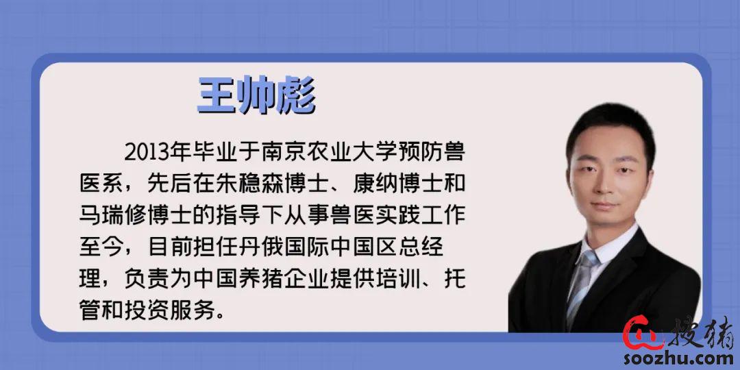 如何处置非瘟弱毒非瘟弱毒感染后如何决策